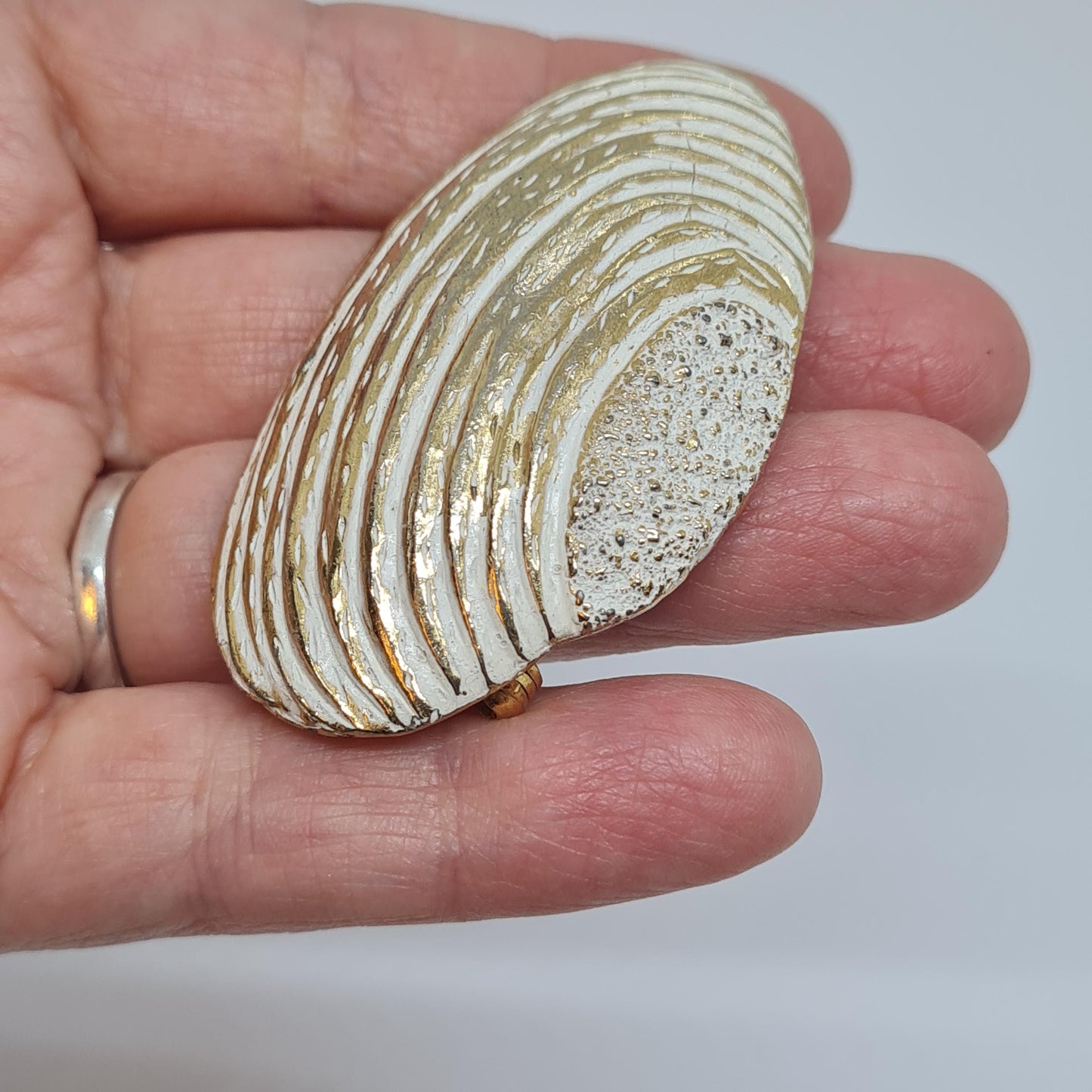 Vintage seashell brooch with textured gold-tone metal pin.