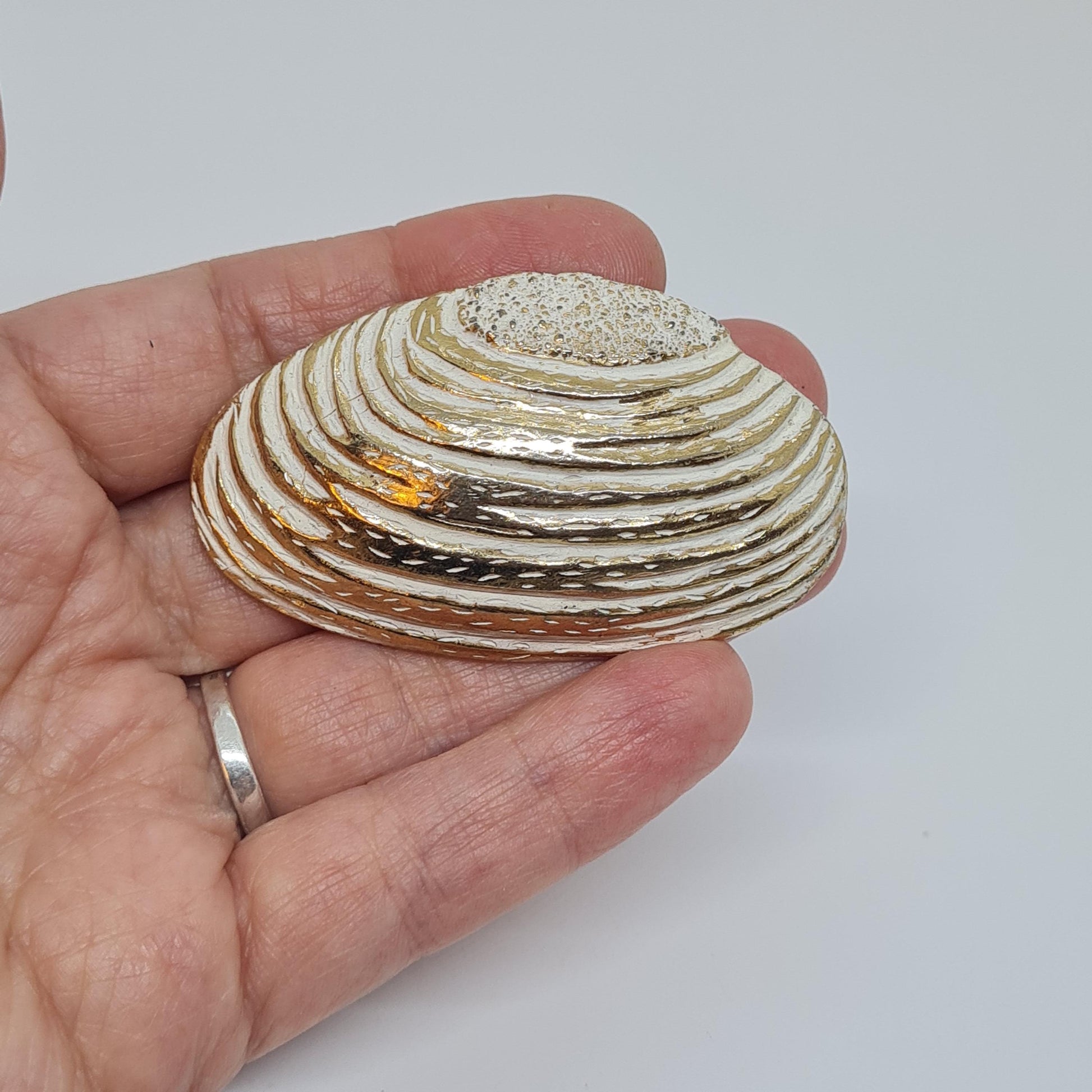 Vintage seashell brooch with textured gold-tone metal pin.